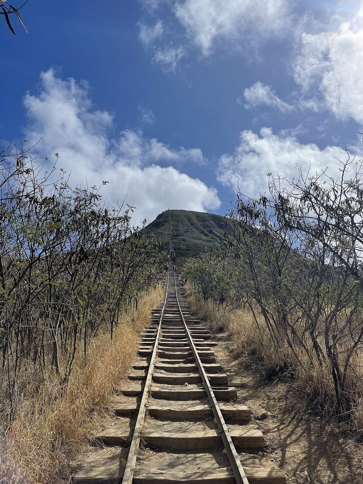 Koko Crater Railway Trail