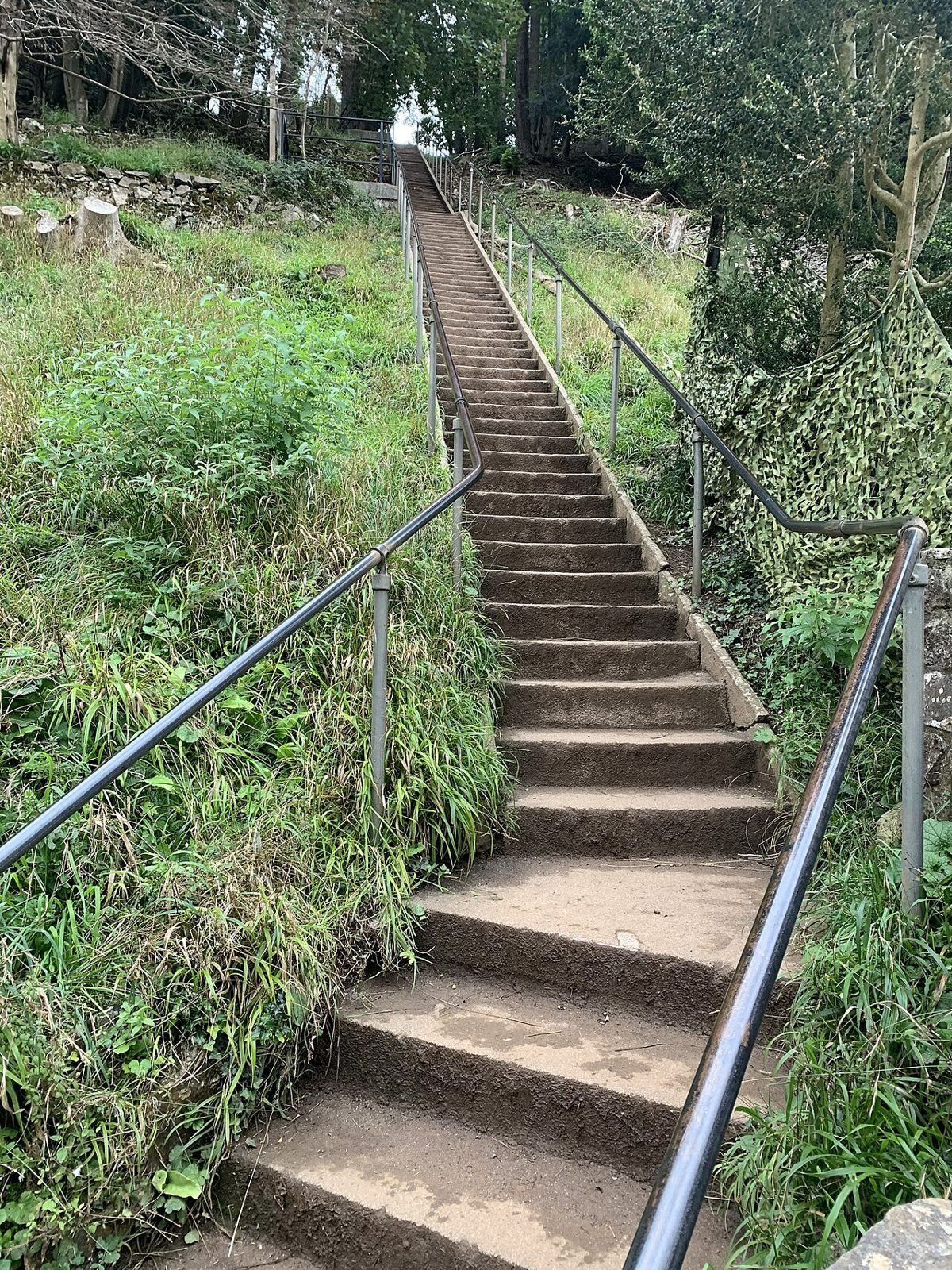 Jacob's Ladder, Cheddar Gorge