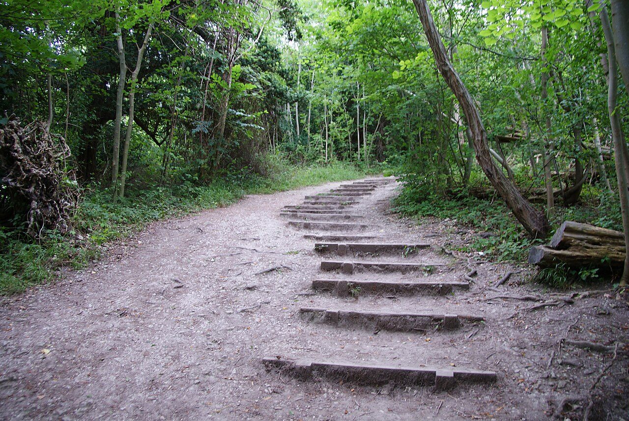 Box Hill Steps