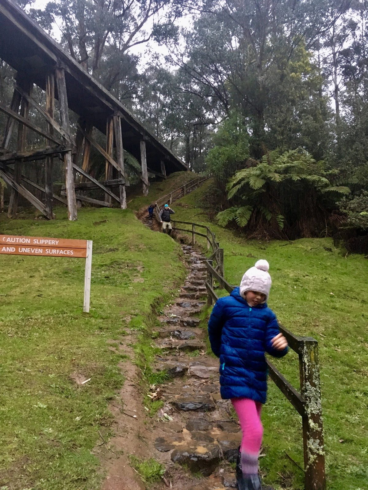 Noojee Trestle Bridge Stairs