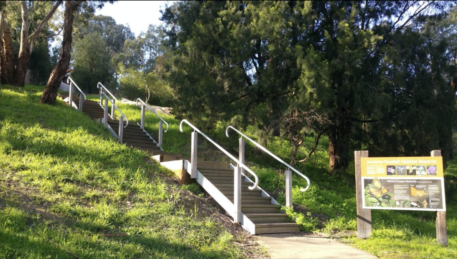 Andrew Yandell Reserve