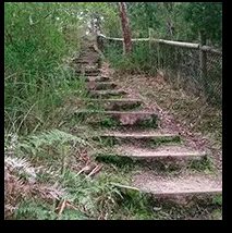Moorooduc Quarry Flora And Fauna Reserve