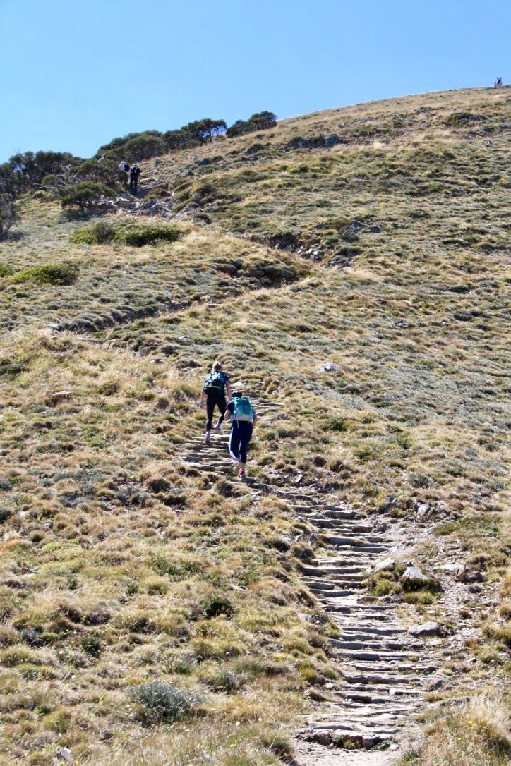 Mt Feathertop Summit