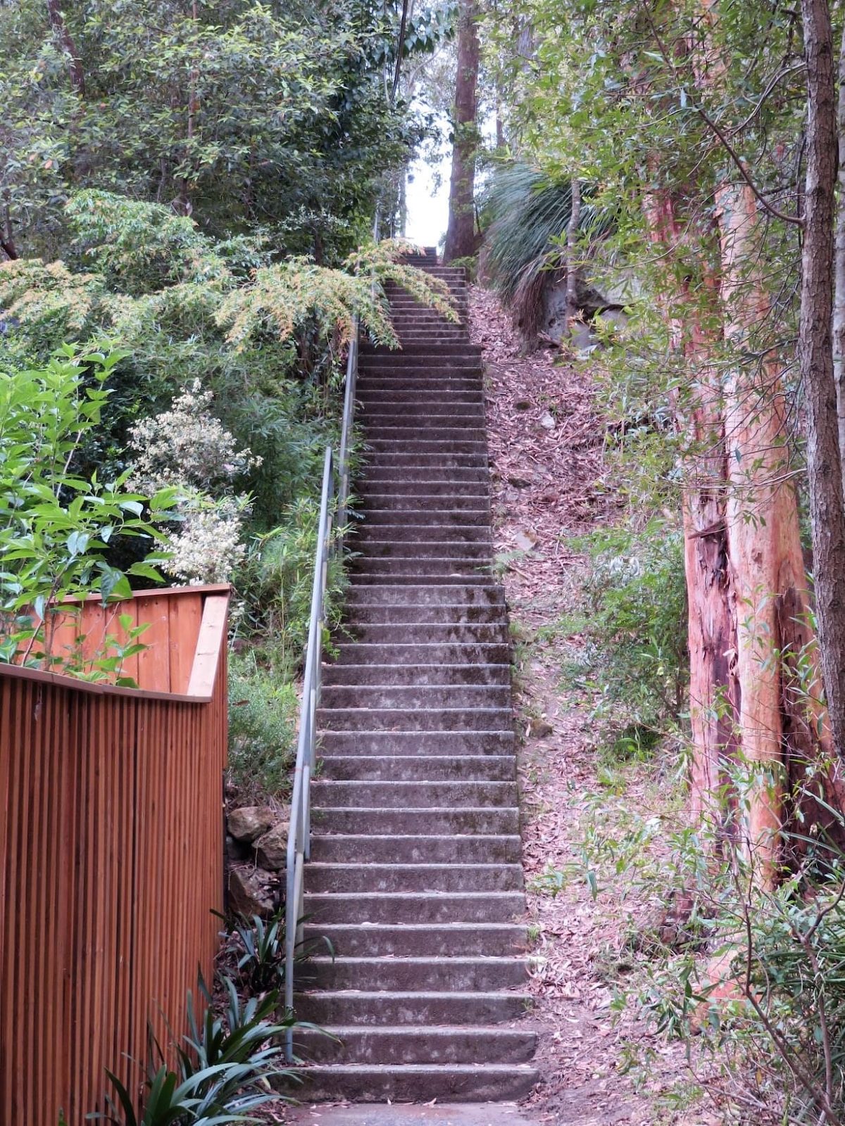 Alinta Close Thornleigh NSW