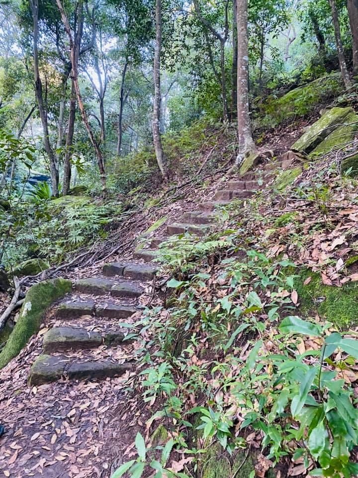 Sailors Bay Walking Track NSW