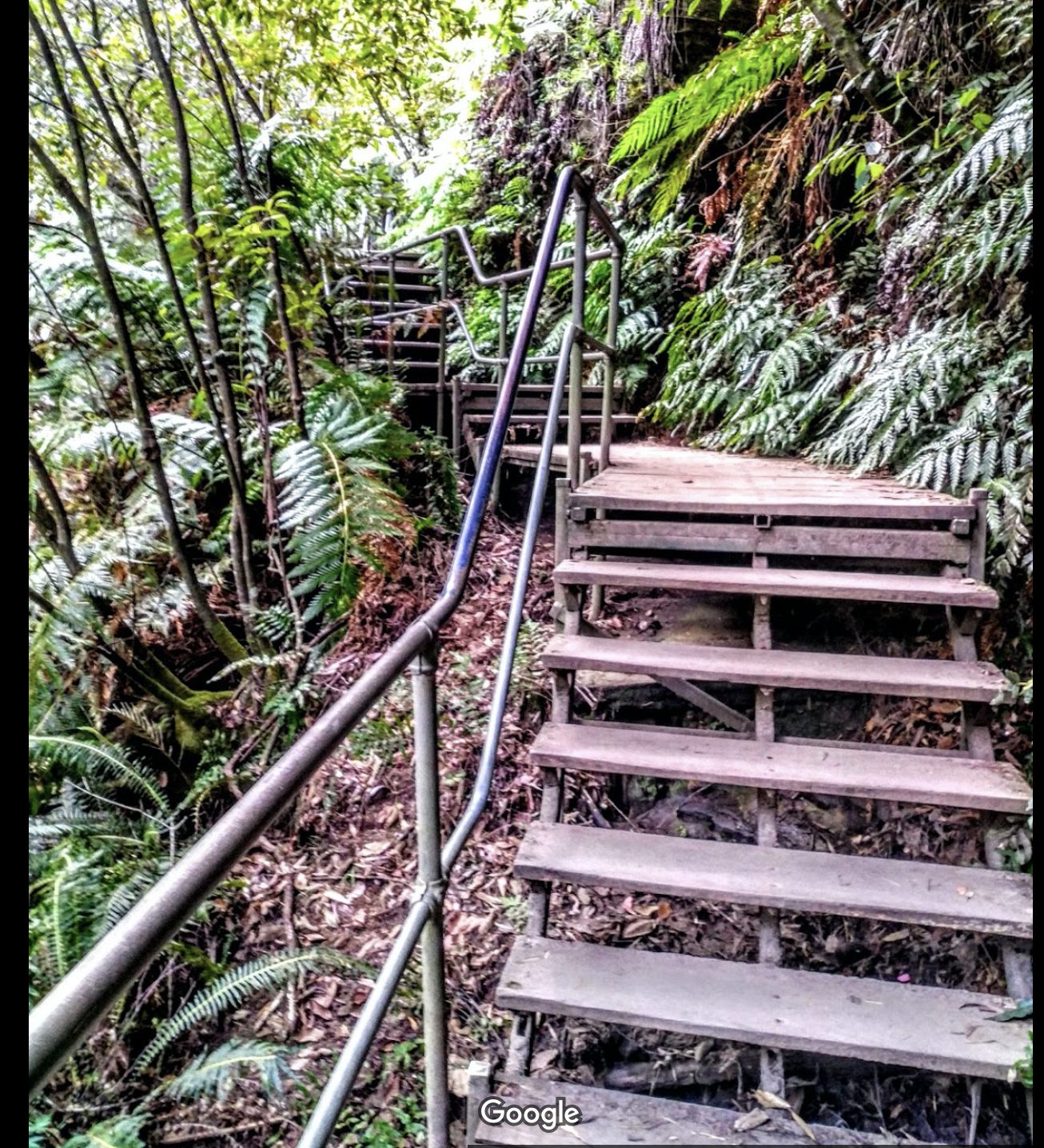 Federal Pass Walking Track