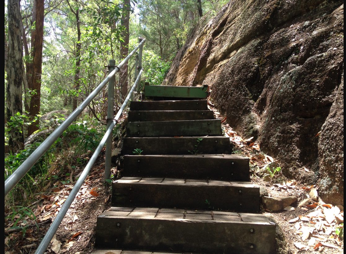 Springwood Conservation Park