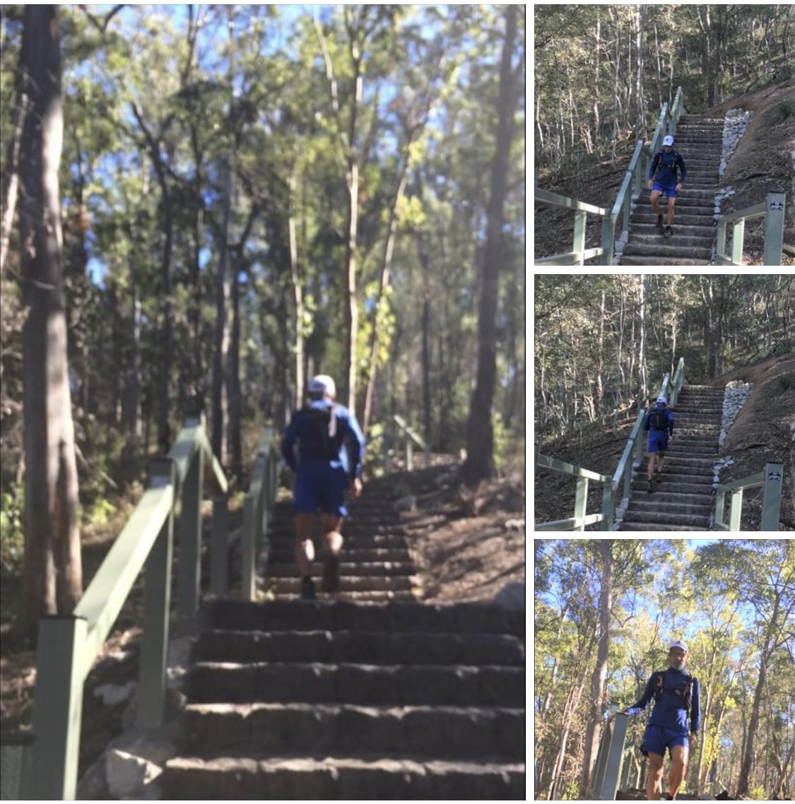 Mount Coot-Tha