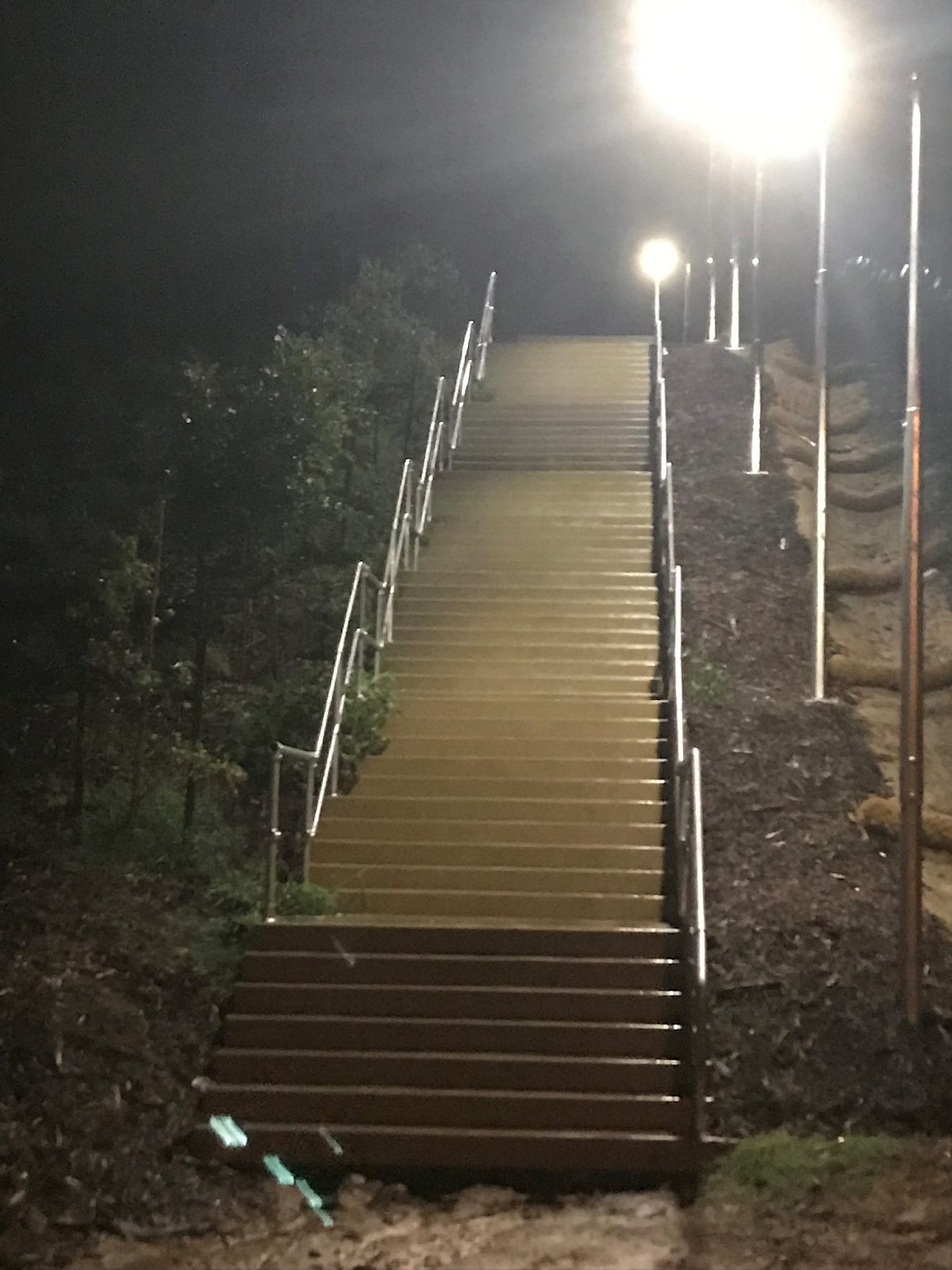 Collingwood Drive stairs set 1