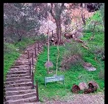 Morialta Conservation Park