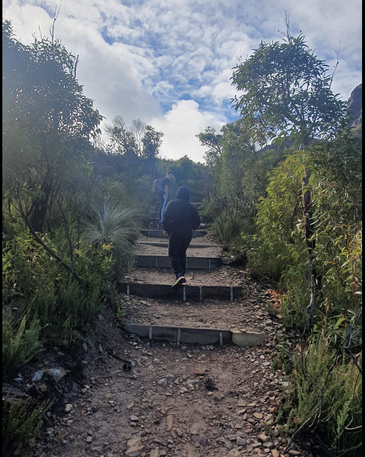 Bluff Knoll